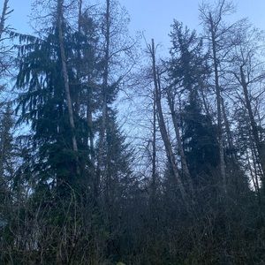 Meet your Posher, Lucas